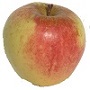 Sundance apple